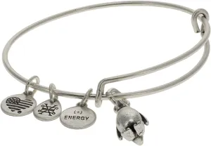 Alex and Ani Animal Guide Expandable Bangle for Women