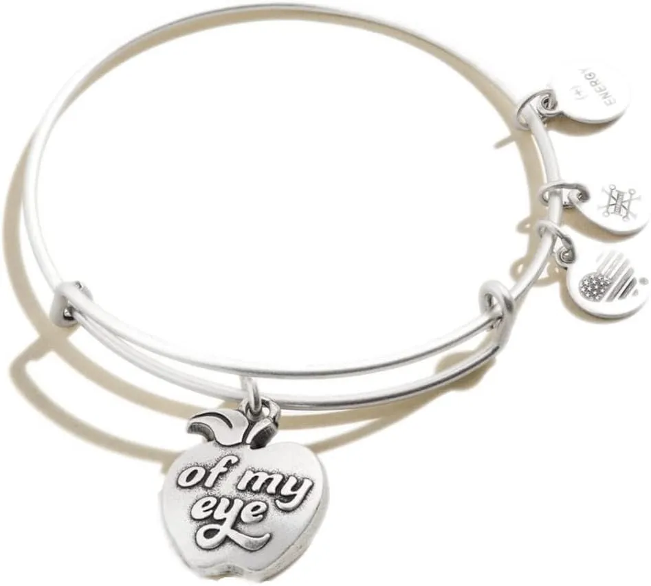 Alex and Ani Apple of My Eye Charm Bangle Bracelet - Rafaelian Silver Finish - 2 to 3.5 in
