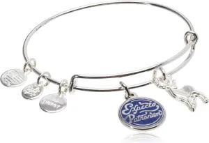 Alex and Ani Collaborations Harry Potter Duo Charms Expandable Bangle for Women, Shiny Finish, 2 to 3.5 in