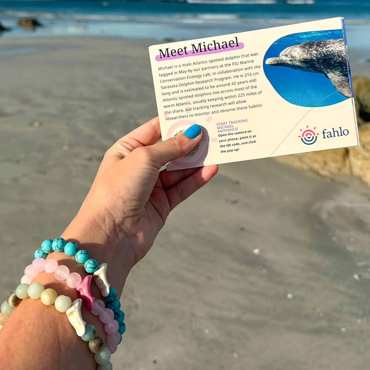 Fahlo Dolphin Tracking Bracelet, Elastic, supports FIU Marine Conservation, one size fits most for Men and Women