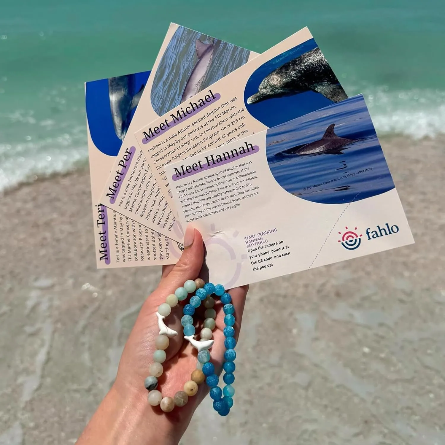 Fahlo Dolphin Tracking Bracelet, Elastic, supports FIU Marine Conservation, one size fits most for Men and Women