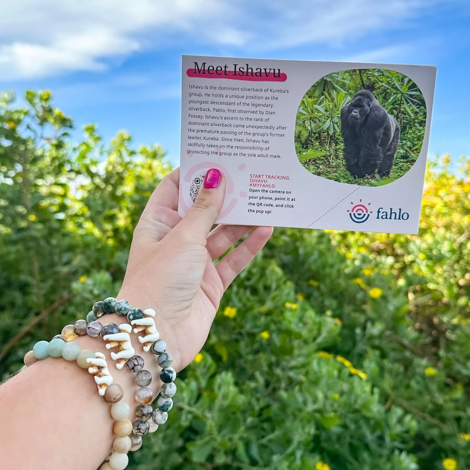Fahlo Gorilla Tracking Bracelet, Elastic, supports Dian Fossey Gorilla Fund, one size fits most for Men and Women