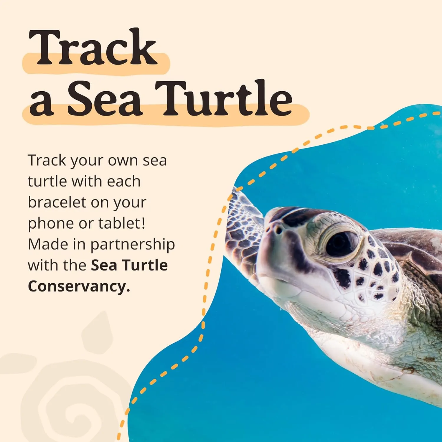 Fahlo Sea Turtle Tracking Bracelet, Elastic, supports the Sea Turtle Conservancy, one size fits most for Men and Women