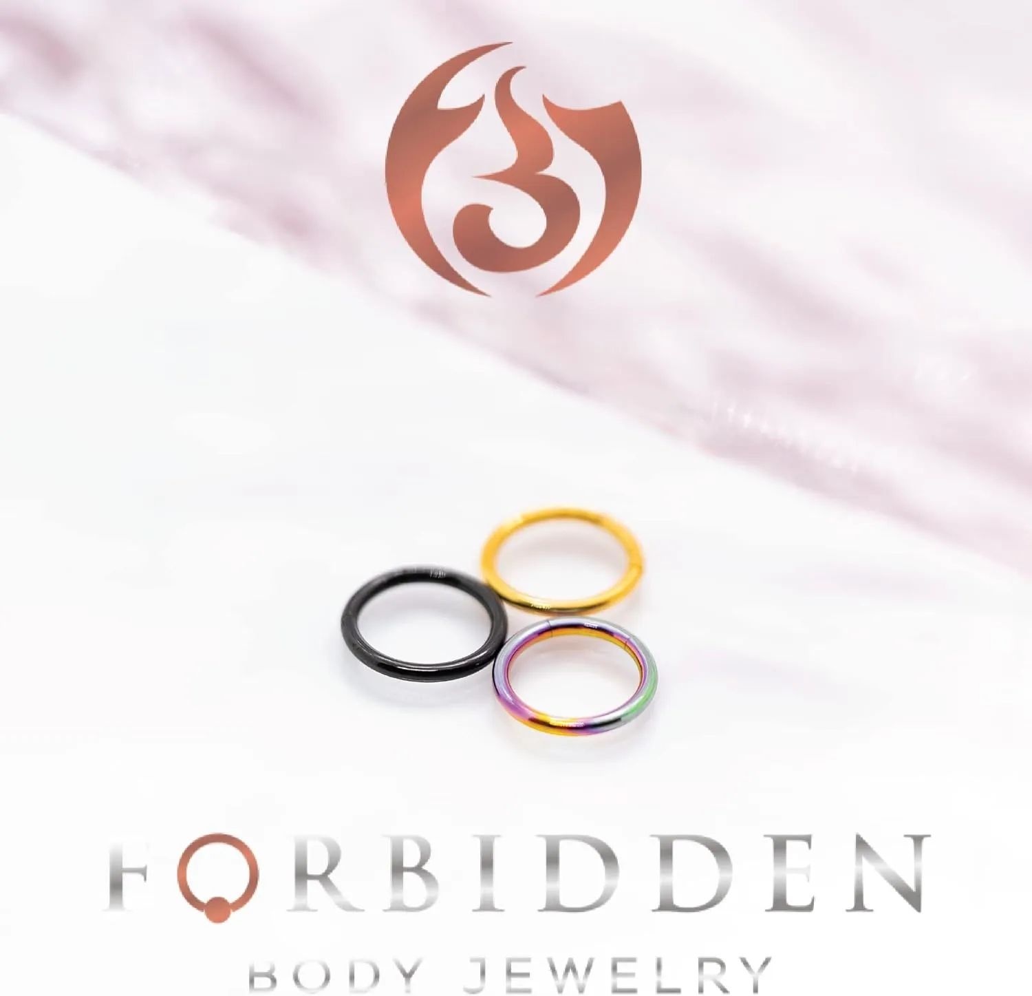 Forbidden Body Jewelry Pair of 316L Surgical Steel Seamless Segment Hoop Piercing Rings