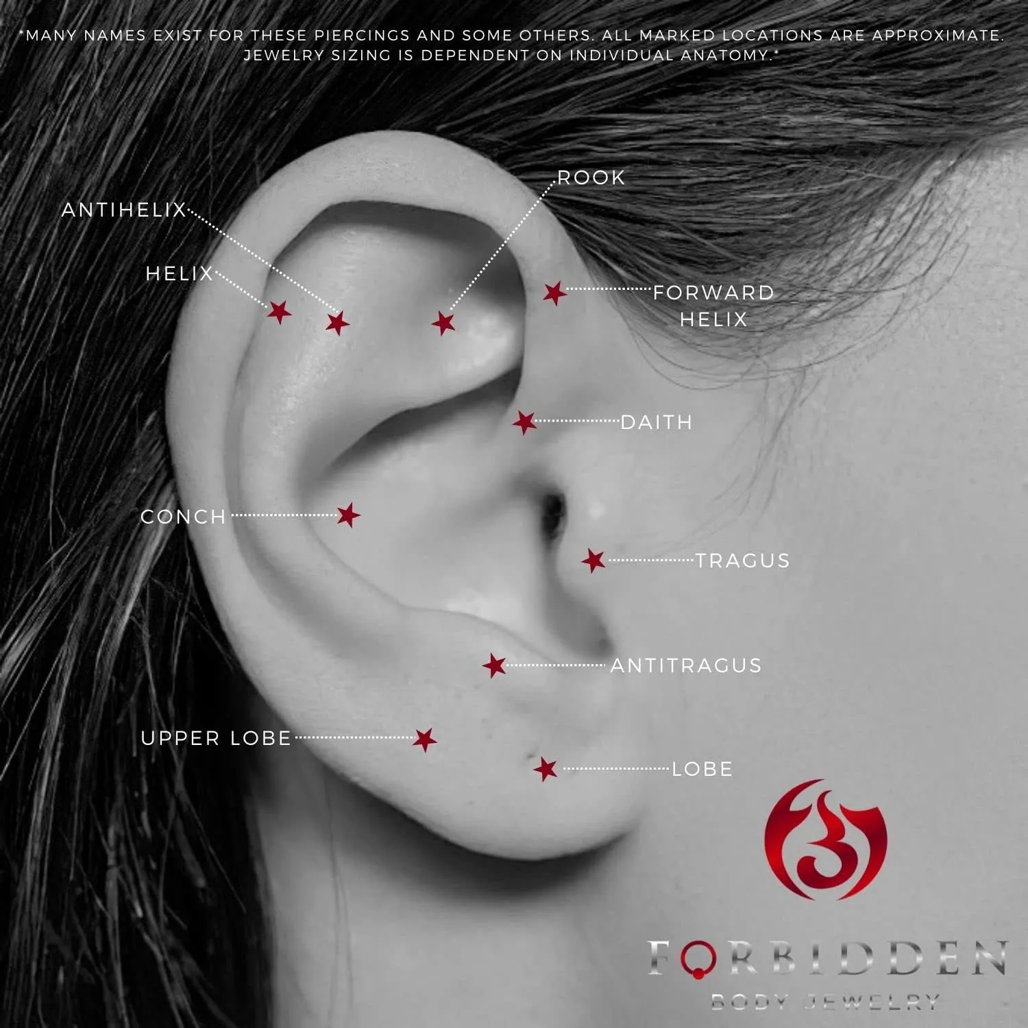 Forbidden Body Jewelry Pair of 316L Surgical Steel Seamless Segment Hoop Piercing Rings