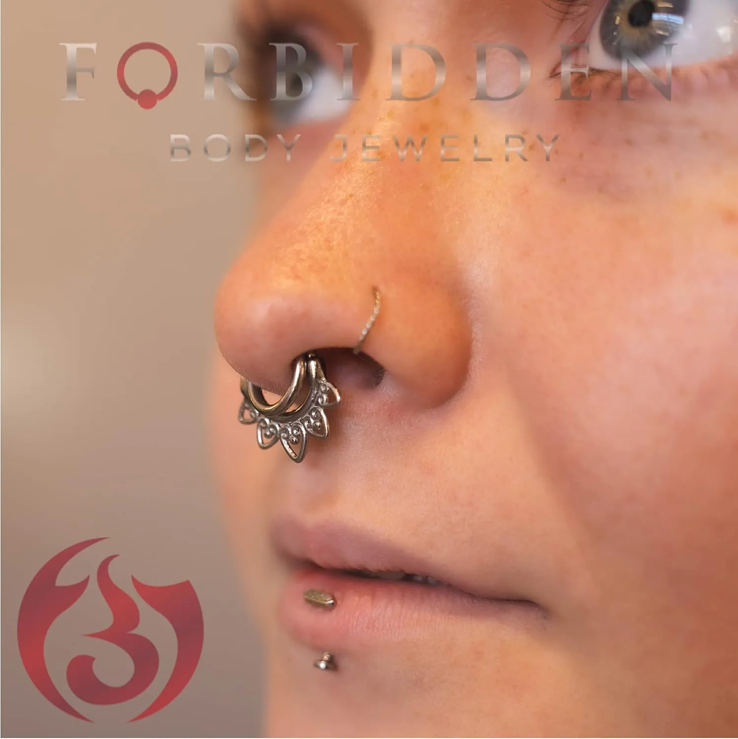 Forbidden Body Jewelry Pair of 316L Surgical Steel Seamless Segment Hoop Piercing Rings