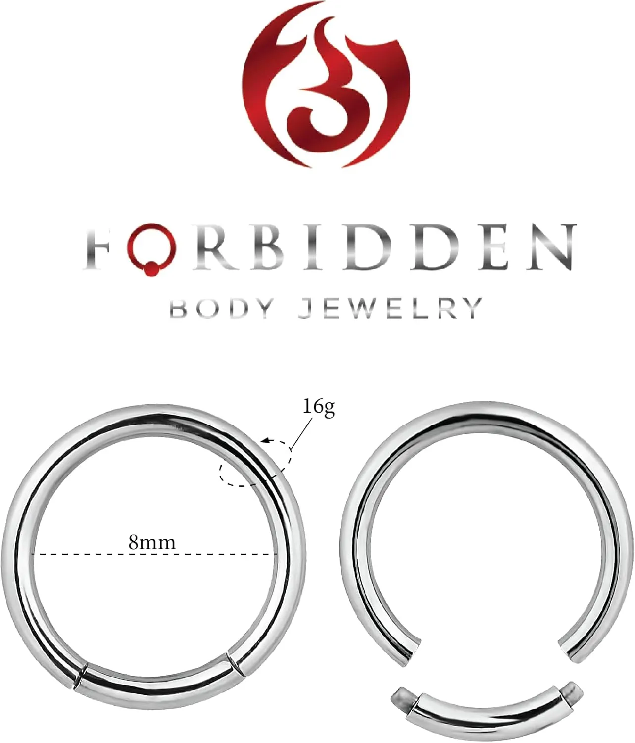 Forbidden Body Jewelry Pair of 316L Surgical Steel Seamless Segment Hoop Piercing Rings