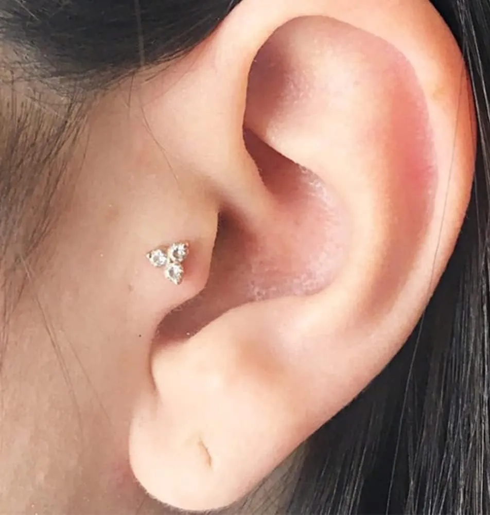 Longita Threadless Nose Stud 20g Flat Back Gold Cartilage Earring Silver Helix Earrings 20 Gauge Push in With Backs Nose Rings Hoops Piercing Taper
