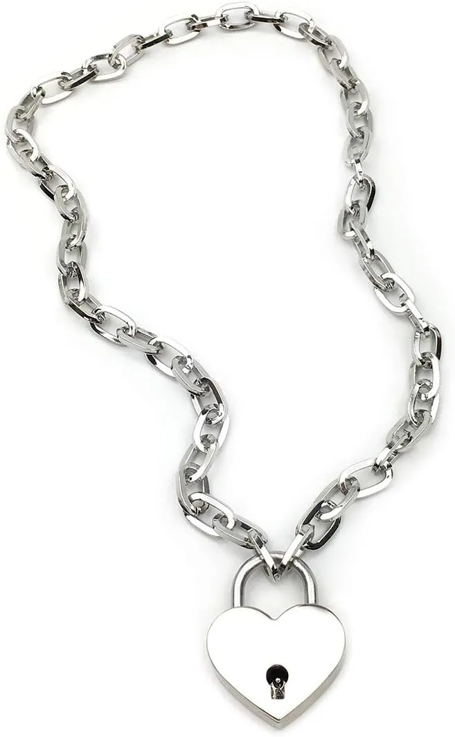 Succuba Padlock Necklace Chain Collar Choker with Two Keys and Box for Women, Men and Pet